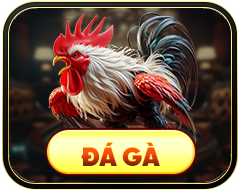 đá gà 188bet